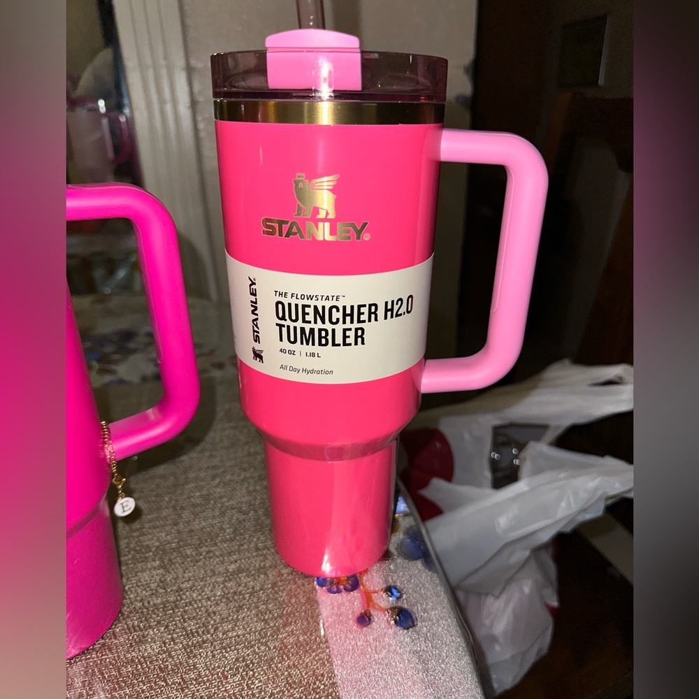 BNWT Pink Parade Stanley